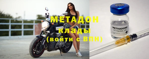 шишки Аркадак