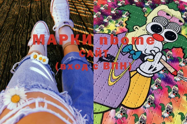 шишки Аркадак