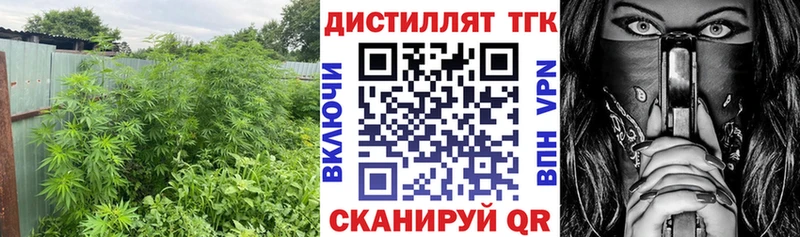 Дистиллят ТГК концентрат Рубцовск